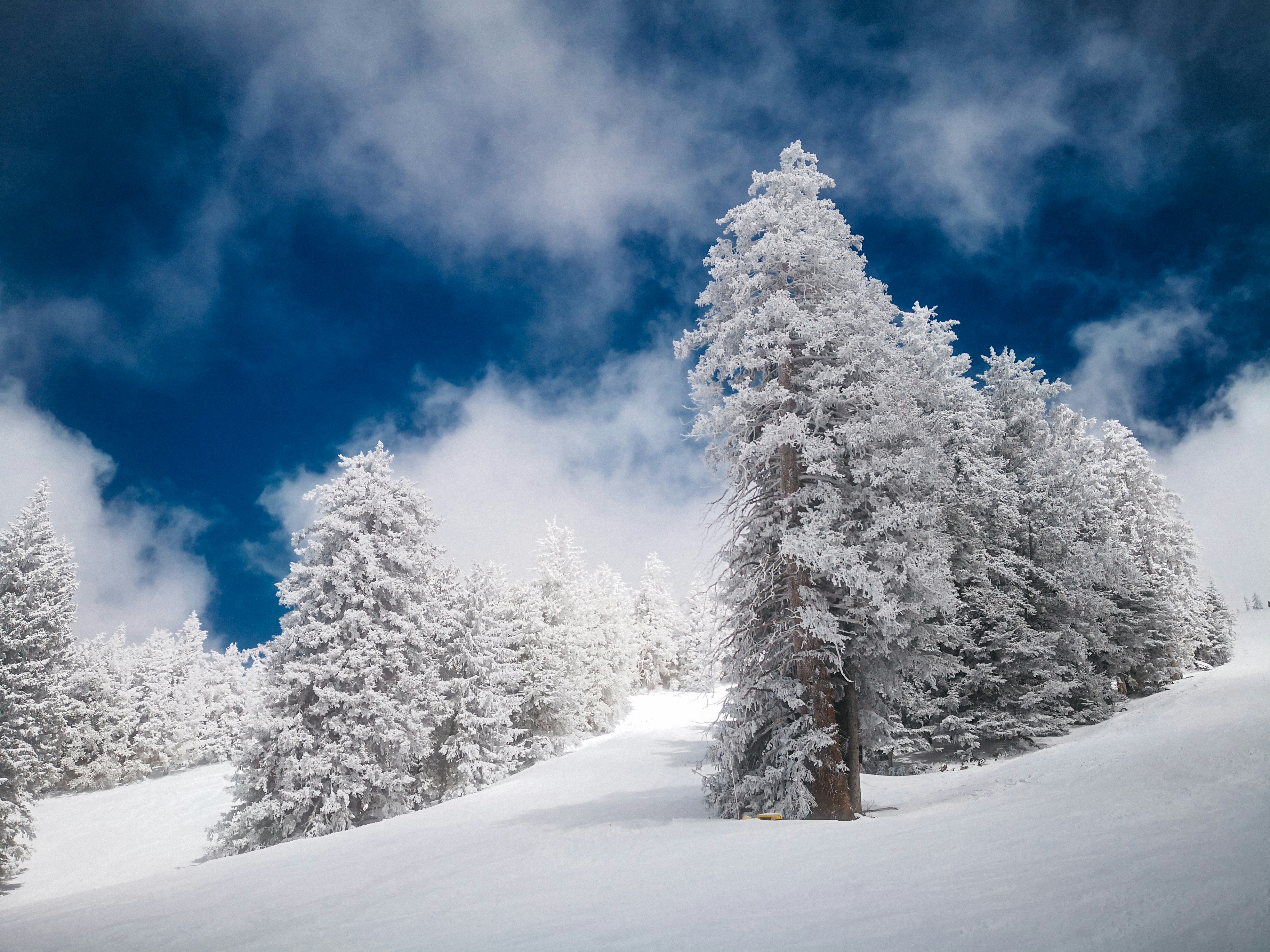 Skiers on a small ski slope with chairlift